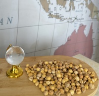 Ağın Leblebisi