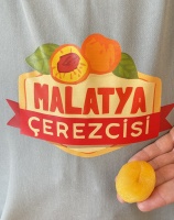 Jumbo Sarı Kuru Kayısı