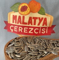 Tuzsuz Karavata