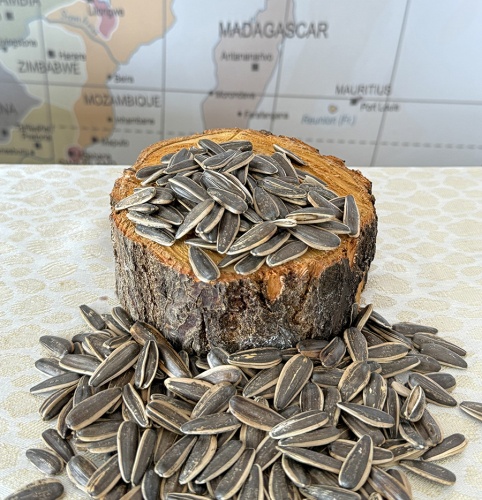 Tuzsuz Karavata